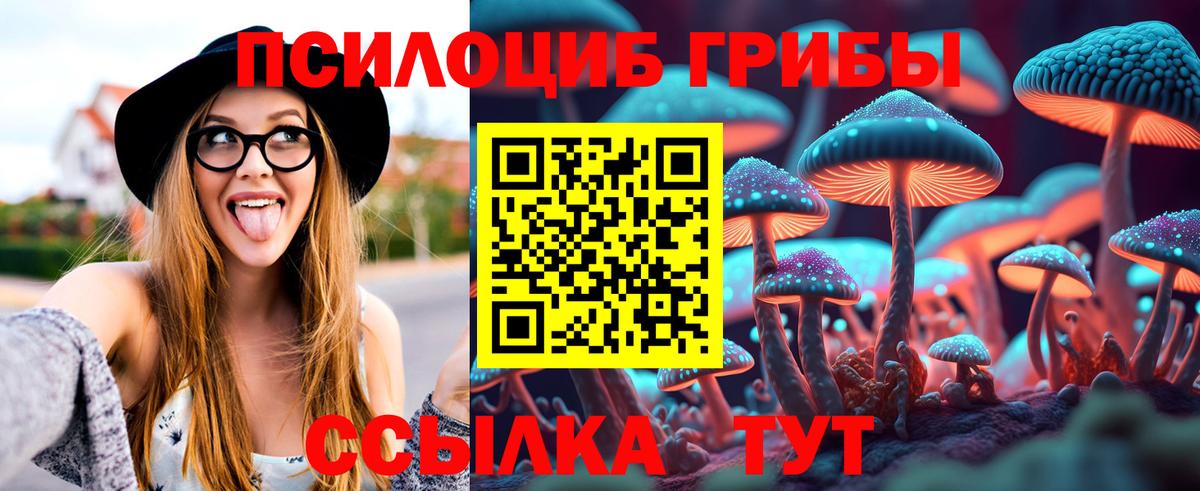 Галлюциногенные грибы Psilocybine cubensis Балашиха