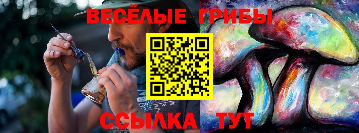 Галлюциногенные грибы прущие грибы  Вход с VPN  Галлюциногенные грибы Psilocybe  Балашиха 